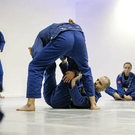 Fra trening hos Kimura Hamar, 28. oktober 2024.